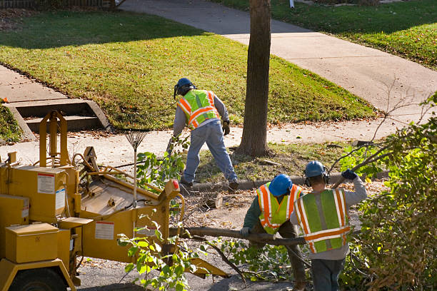 Lawn Watering Services in Eaton Estates, OH